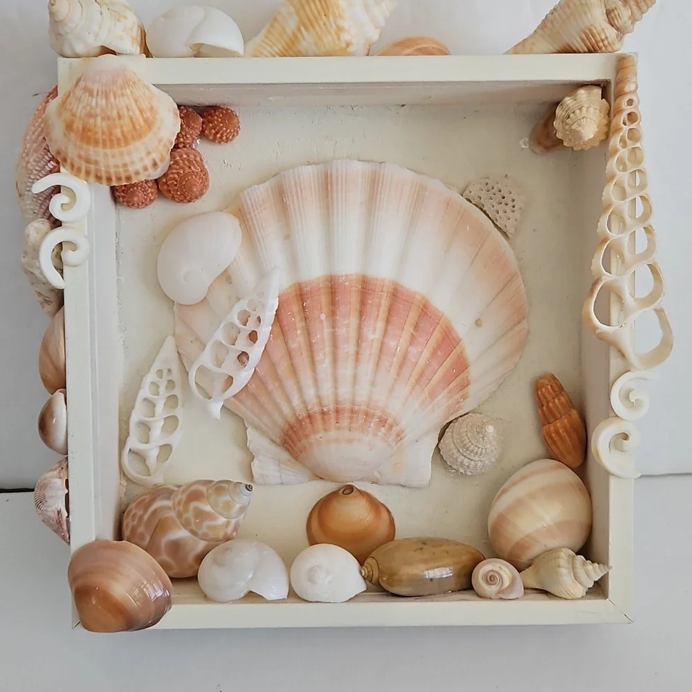 HANDCRAFTED NATURAL SHELL WALL SHADOW BOX